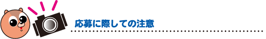 応募に際しての注意