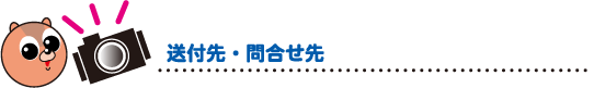 送付先・問合せ先
